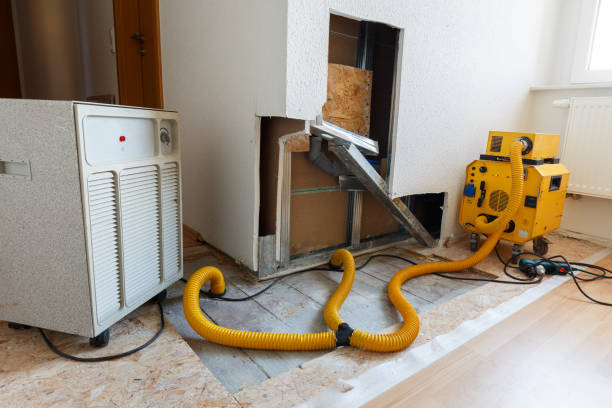 Best Residential Mold Inspection & Testing  in Island Lake, IL